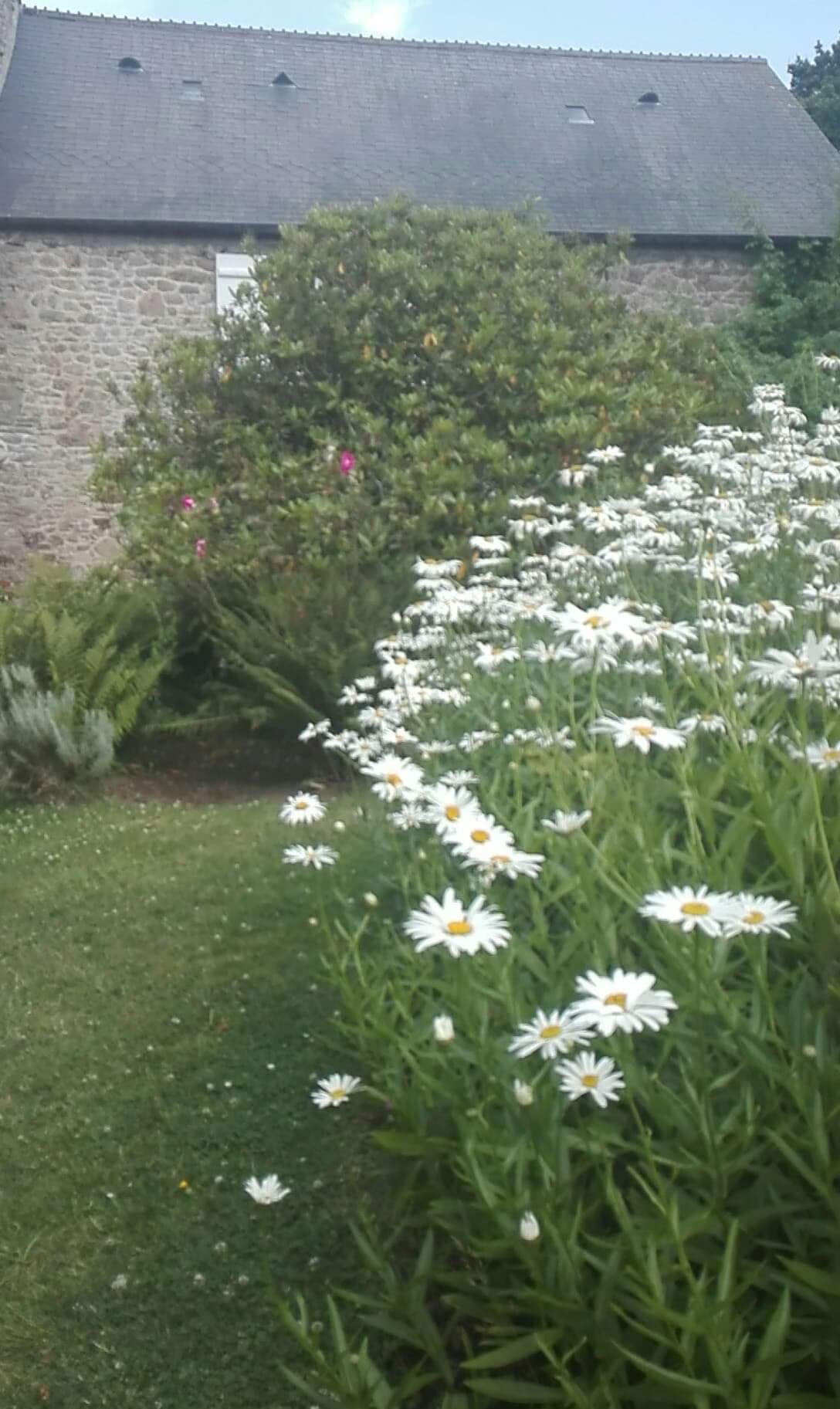 Photo n° 6 de l'avis de Nad.n fait le 23/07/2019 à 17:07