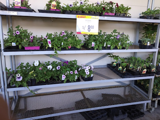 Department Store «Bi-Mart», reviews and photos, 3225 Pacific Ave, Forest Grove, OR 97116, USA