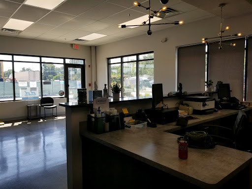 Glensted Pet Clinic image 3