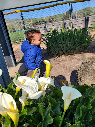 Sports Complex «Milpitas Sports Center», reviews and photos, 1325 E Calaveras Blvd, Milpitas, CA 95035, USA