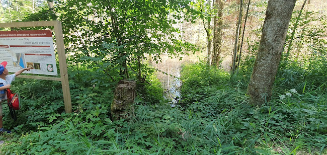 Rezensionen über Etang de Bouleyres in Villars-sur-Glâne - Museum