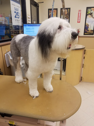 Pet Supply Store «PetSmart», reviews and photos, 1300 John F Kennedy Rd, Dubuque, IA 52002, USA