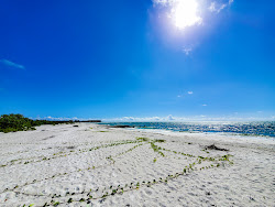Foto von Big Hickory beach - beliebter Ort unter Entspannungskennern