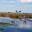 Canaveral Marshes Conservation Trailhead