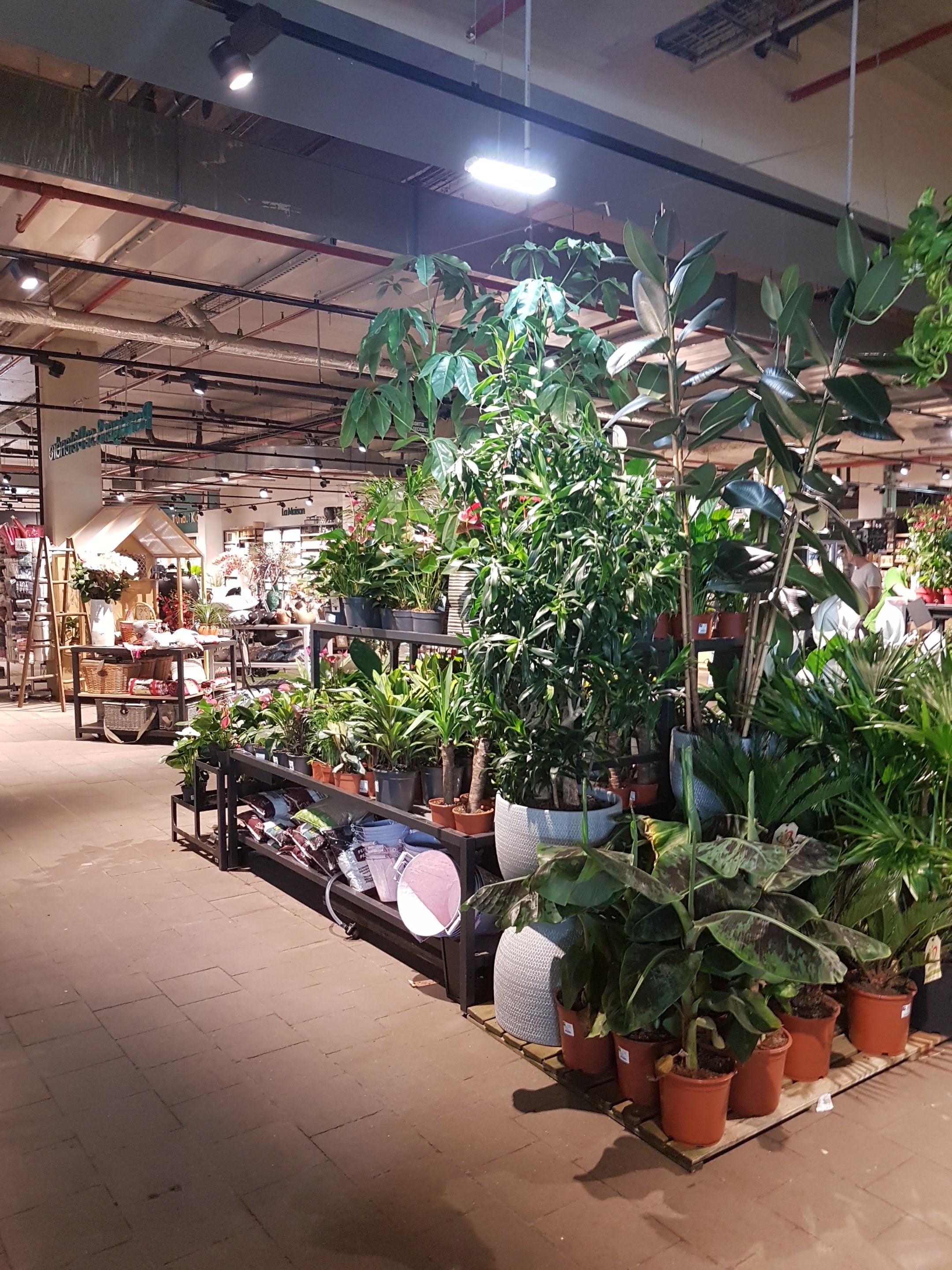 Photo n° 2 de l'avis de Bri.r fait le 22/04/2019 à 11:37