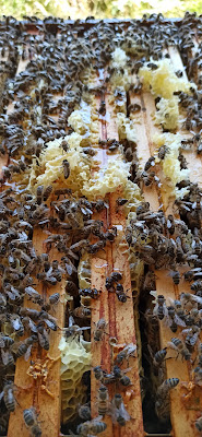 Les Abeilles de Marguerite à Cerisy-la-Salle
