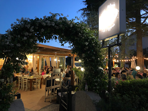 Osteria BardoVino in Montescudaio, Provincia di Pisa