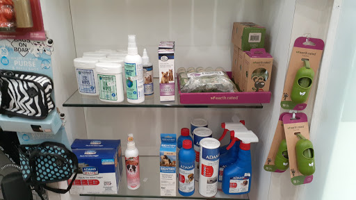 Pet Store «South Beach Pet Shop», reviews and photos, 634 6th St, Miami Beach, FL 33139, USA