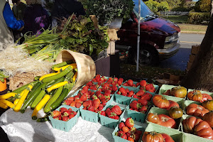 Moss Street Market