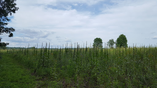 Bird Watching Area «Haehnle Sanctuary», reviews and photos, Seymour Rd, Pleasant Lake, MI 49272, USA