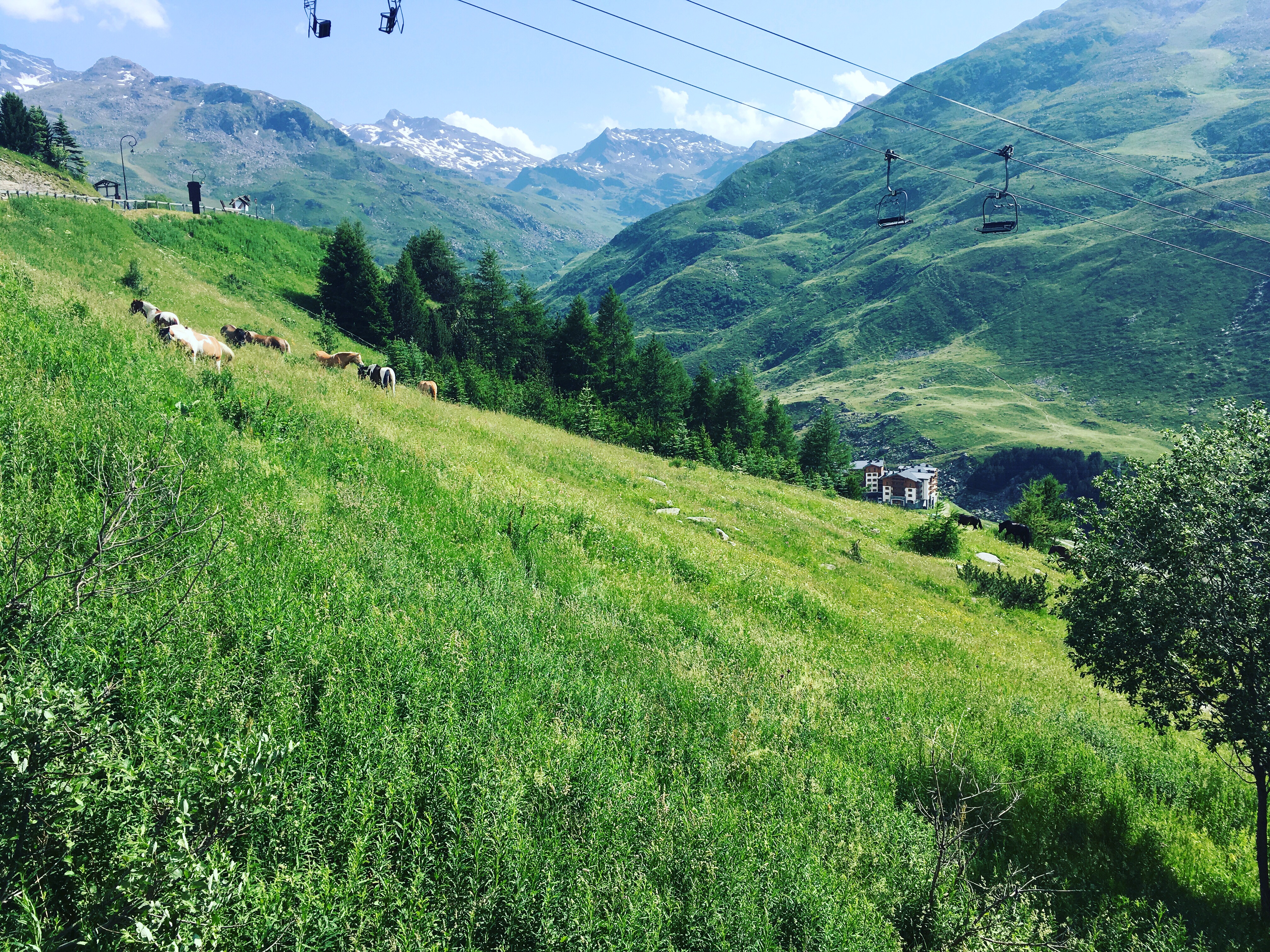 Photo n° 4 de l'avis de Jolie.a fait le 31/07/2019 à 07:17