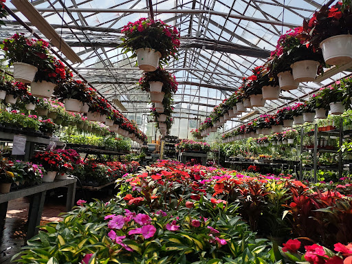 Garden Center «Westminster Nursery & Florist», reviews and photos, 30 Westminster Rd, West Hempstead, NY 11552, USA
