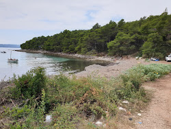 Photo de Perna beach avec #42