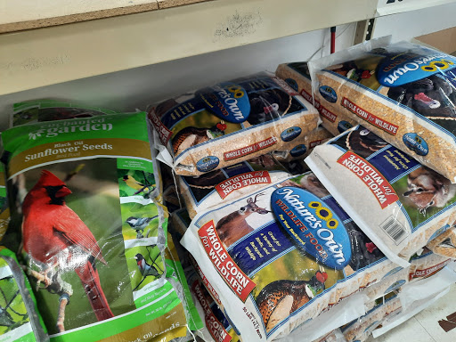 Home Improvement Store «Menards», reviews and photos, 5800 Krueger Ln, Oak Park Heights, MN 55082, USA