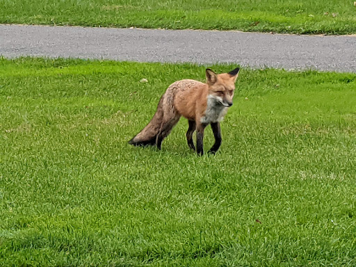 Park «Weequahic Park Track», reviews and photos, 1 Thomas Carmichael Dr, Newark, NJ 07114, USA