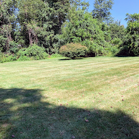 Jay Taylor Landscaping - Photo 8 - Car repair in , Yonkers