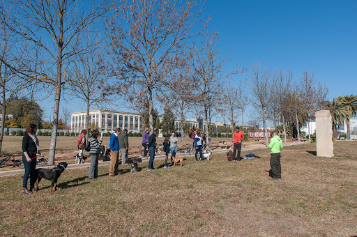 Escuela de entrenadores caninos 