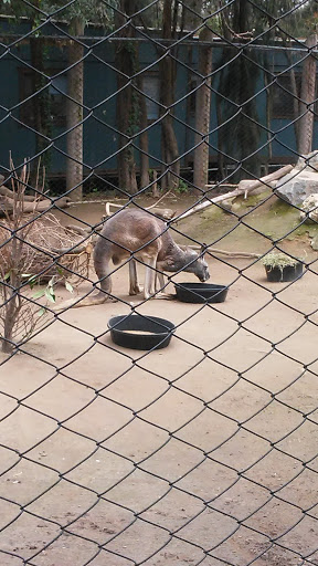 Zoo «Sacramento Zoo», reviews and photos, 3930 W Land Park Dr, Sacramento, CA 95822, USA