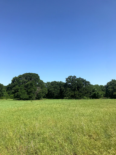 Park «Bob Jones Park», reviews and photos, 3901 N White Chapel Blvd, Southlake, TX 76092, USA