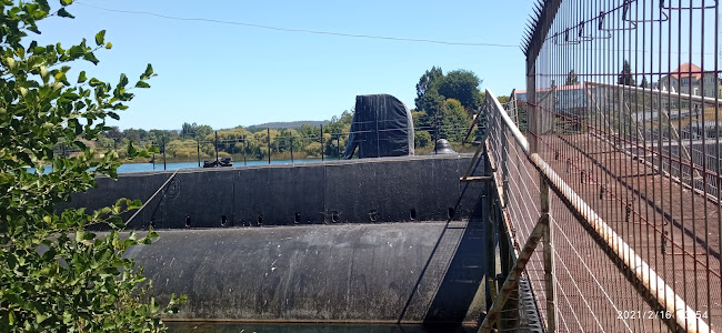 Valdivia, Los Ríos, Chile