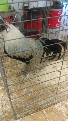 Fairground «Canyon County Fair», reviews and photos, 111 S 22nd Ave, Caldwell, ID 83605, USA