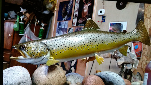 King's Fish Market Inc.