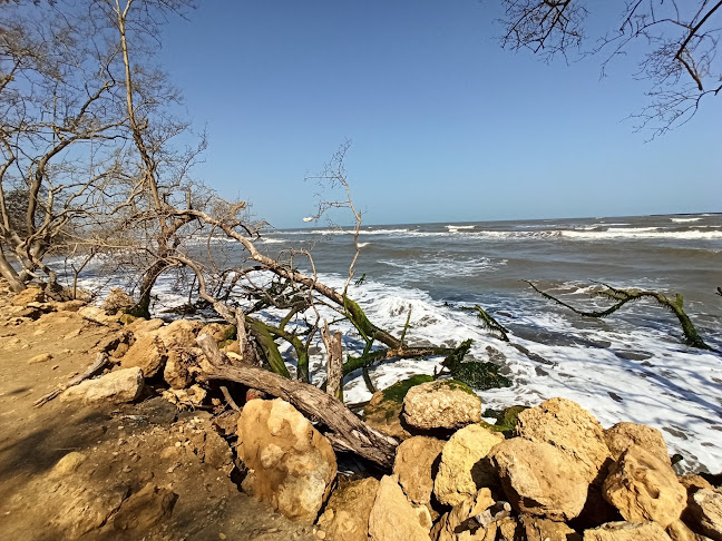 Estación Vista al Mar Triple A