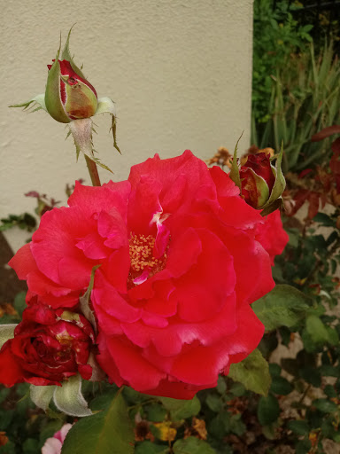 Self-Storage Facility «CubeSmart Self Storage», reviews and photos, 10651 White Rock Rd, Rancho Cordova, CA 95670, USA