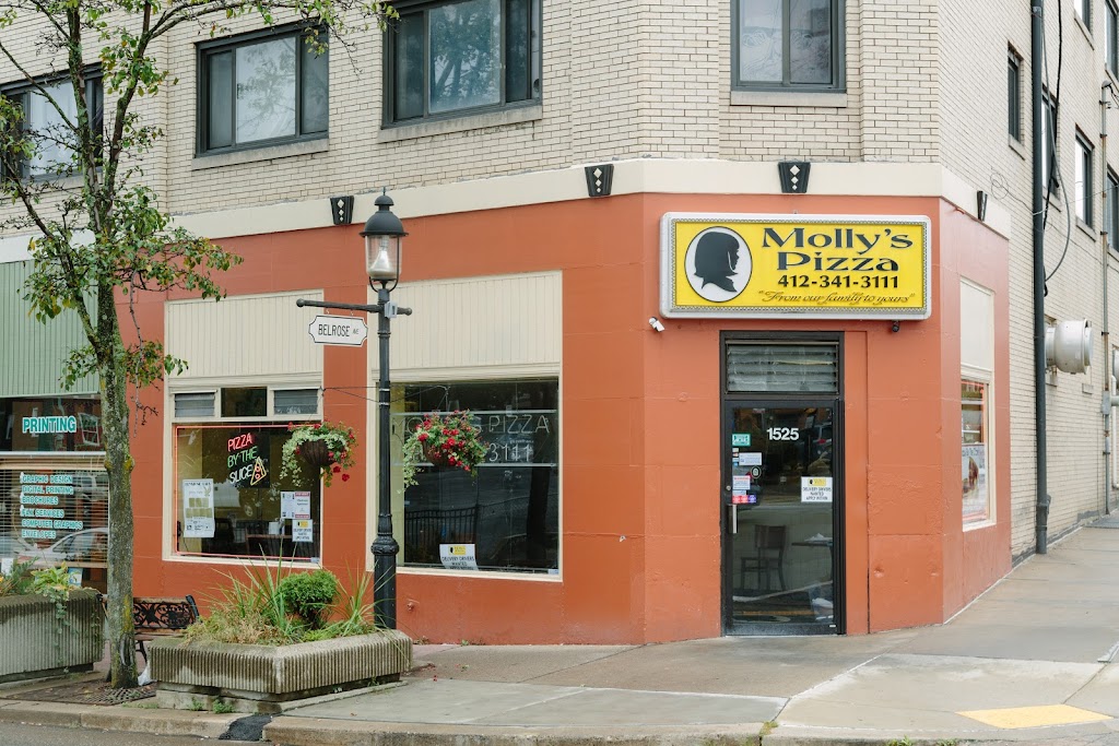 Molly's Pizza and Chicken Pittsburgh, PA 15216 Menu, Reviews, Hours