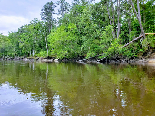 Ogeechee Outpost