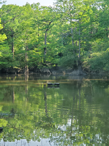 Park «Interstate Park», reviews and photos, 3900 S Arch St, Little Rock, AR 72206, USA