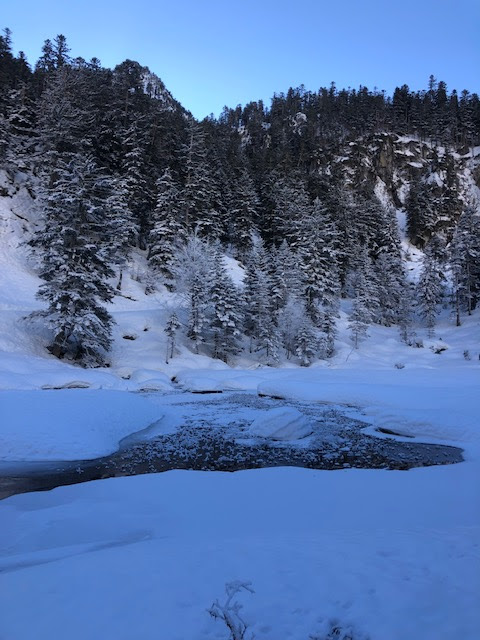 Photo n° 1 de l'avis de Lola.E fait le 24/01/2022 à 16:37