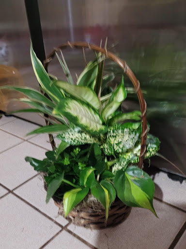 Florist «Security Florist», reviews and photos, 580 Marquette Dr, Colorado Springs, CO 80911, USA