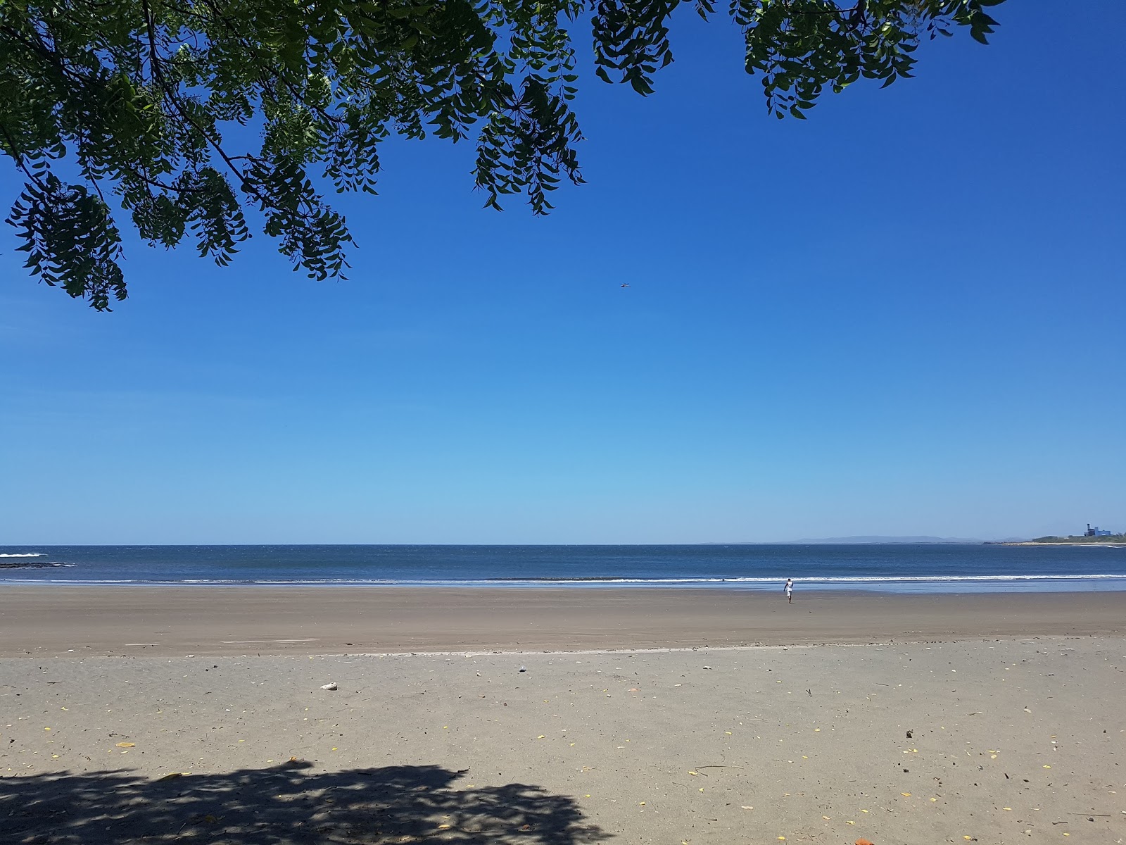 Valokuva Miramar beachista. sisältäen tilava ranta