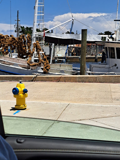 Grocery Store «Agora Food Market, Inc», reviews and photos, 602 Athens St, Tarpon Springs, FL 34689, USA