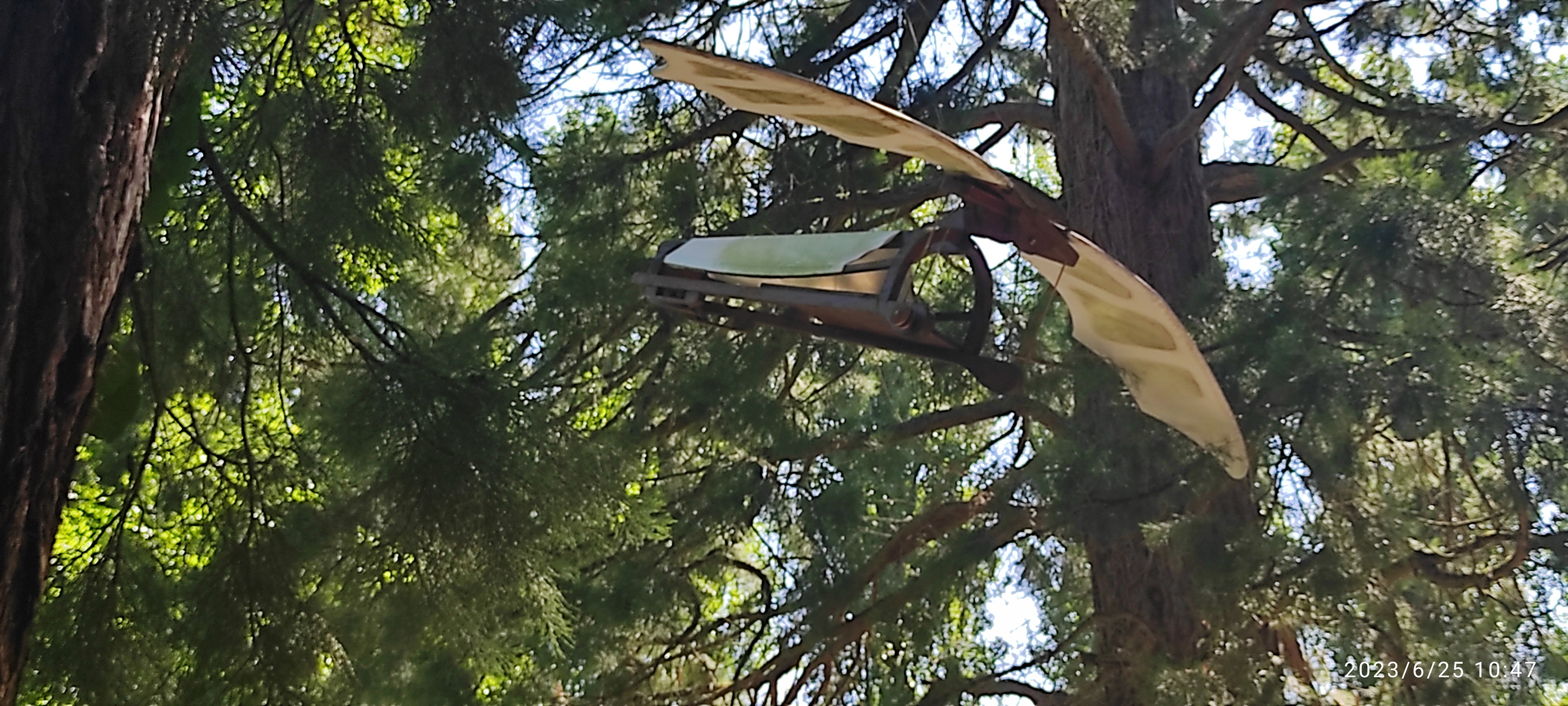 Photo n° 50 de l'avis de Helene.r fait le 25/06/2023 à 10:56