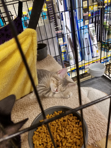 Pet Supply Store «PetSmart», reviews and photos, 916 Loganville Hwy, Bethlehem, GA 30620, USA