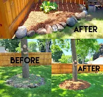 A+ Services - Car repair in , Eau Claire - Rated 5.0/5