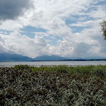 Photo n°2 de l'avis de Stefan.c fait le 02/08/2021 à 18:48 sur le  Hafenwirt à Seebruck