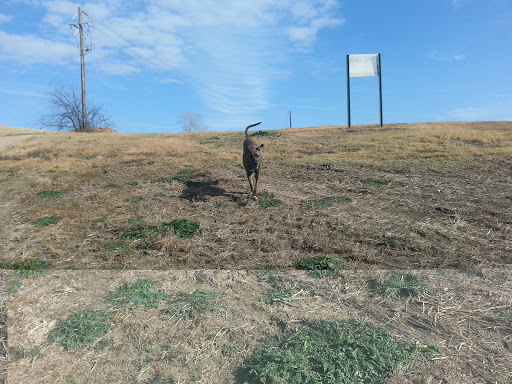 Golf Course «Indian Creek Golf Club», reviews and photos, 1650 W Frankford Rd, Carrollton, TX 75007, USA