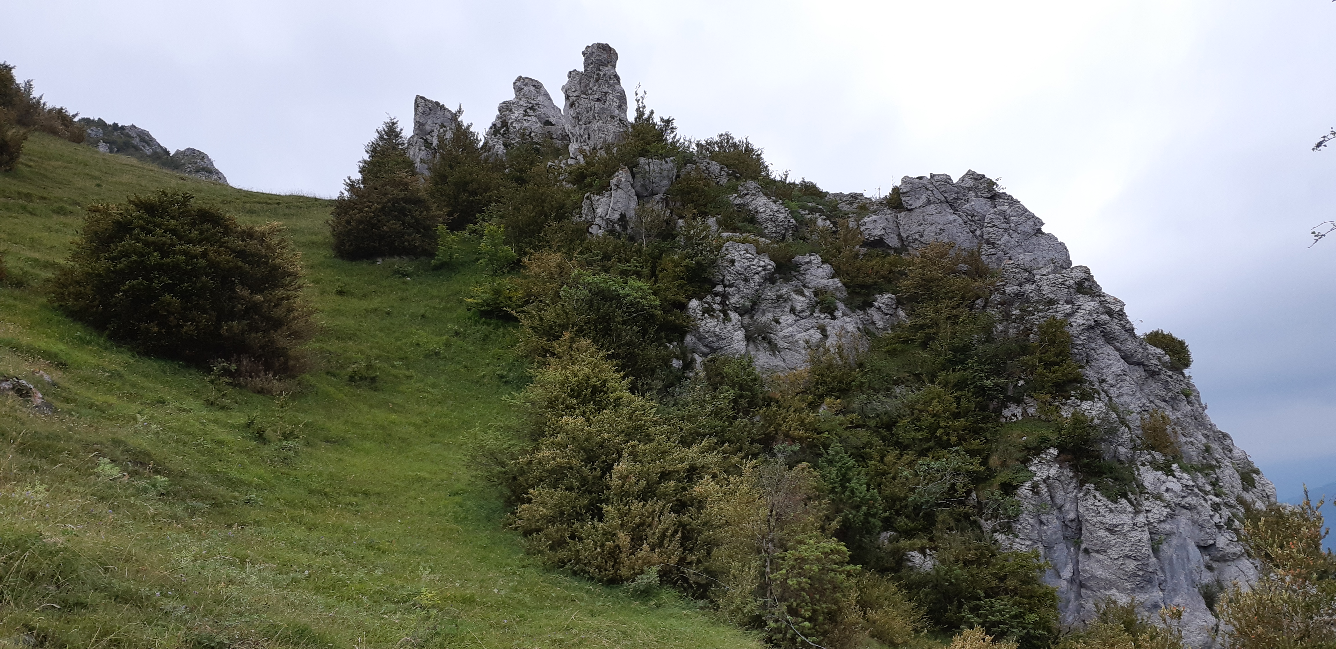 Photo n° 8 de l'avis de Zyzomis. fait le 30/07/2018 à 11:24