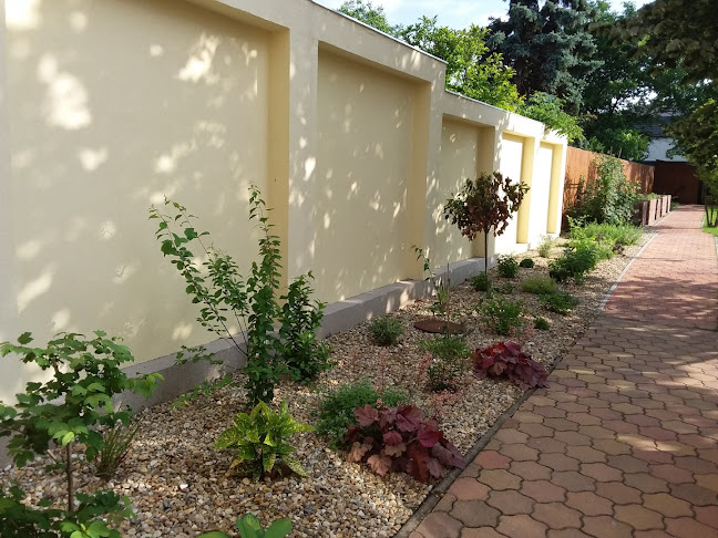 Értékelések erről a helyről: Álomkert Szeged kertépítés, Mórahalom - Kertészkedő