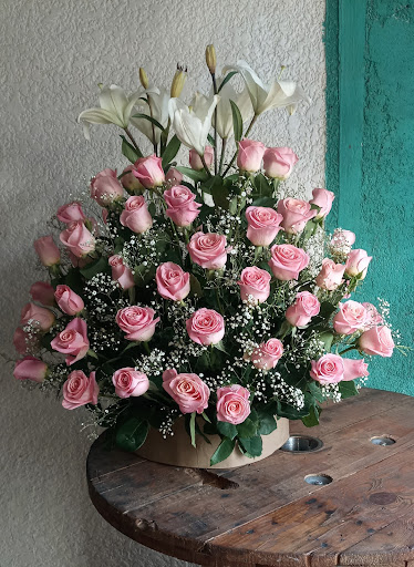 FLORERIA Daniela – Guadalupe