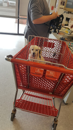 Pet Supply Store «Petco Animal Supplies», reviews and photos, 6631 Edwardsville Crossing Dr, Edwardsville, IL 62025, USA
