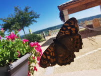 Photos du propriétaire du Restaurant Les Balcons de l'Espérance à Limeuil - n°17