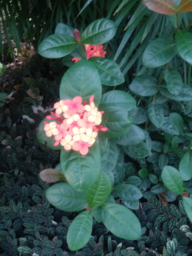 Zoo «Belle Isle Nature Center», reviews and photos, 176 Lakeside Dr, Detroit, MI 48207, USA