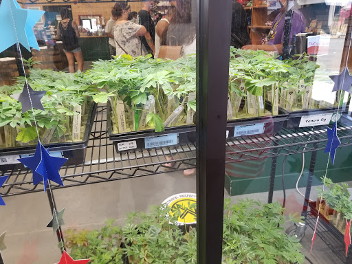 CoCo Farms Dispensary Antioch image