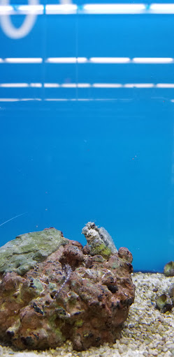 Pet Supply Store «Petco Animal Supplies», reviews and photos, 3430 W State St, Grand Island, NE 68803, USA