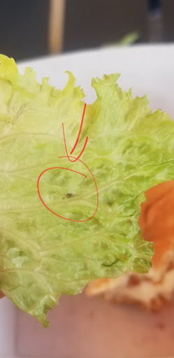 Fast Food Restaurant «Chick-fil-A», reviews and photos, 3001 W Agua Fria Fwy, Phoenix, AZ 85027, USA