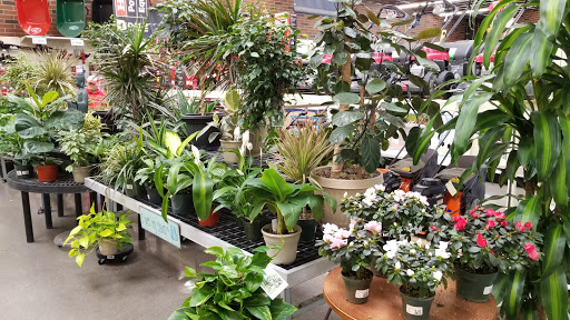 Hardware Store «Dale Hardware Inc», reviews and photos, 3700 Thornton Ave, Fremont, CA 94536, USA